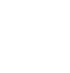 irundo