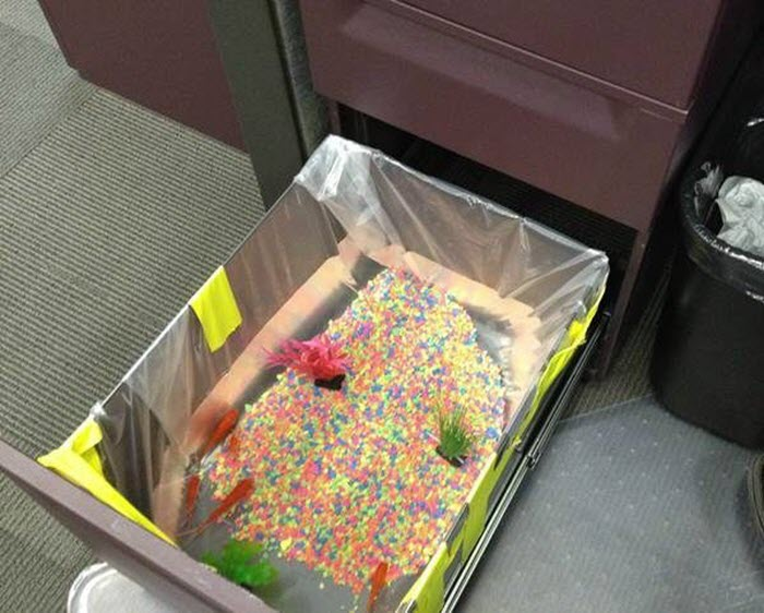 Funny-office-prank-idea-desk-drawer-fishtank