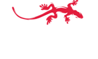 GECO - Old 