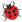 :ladybug: