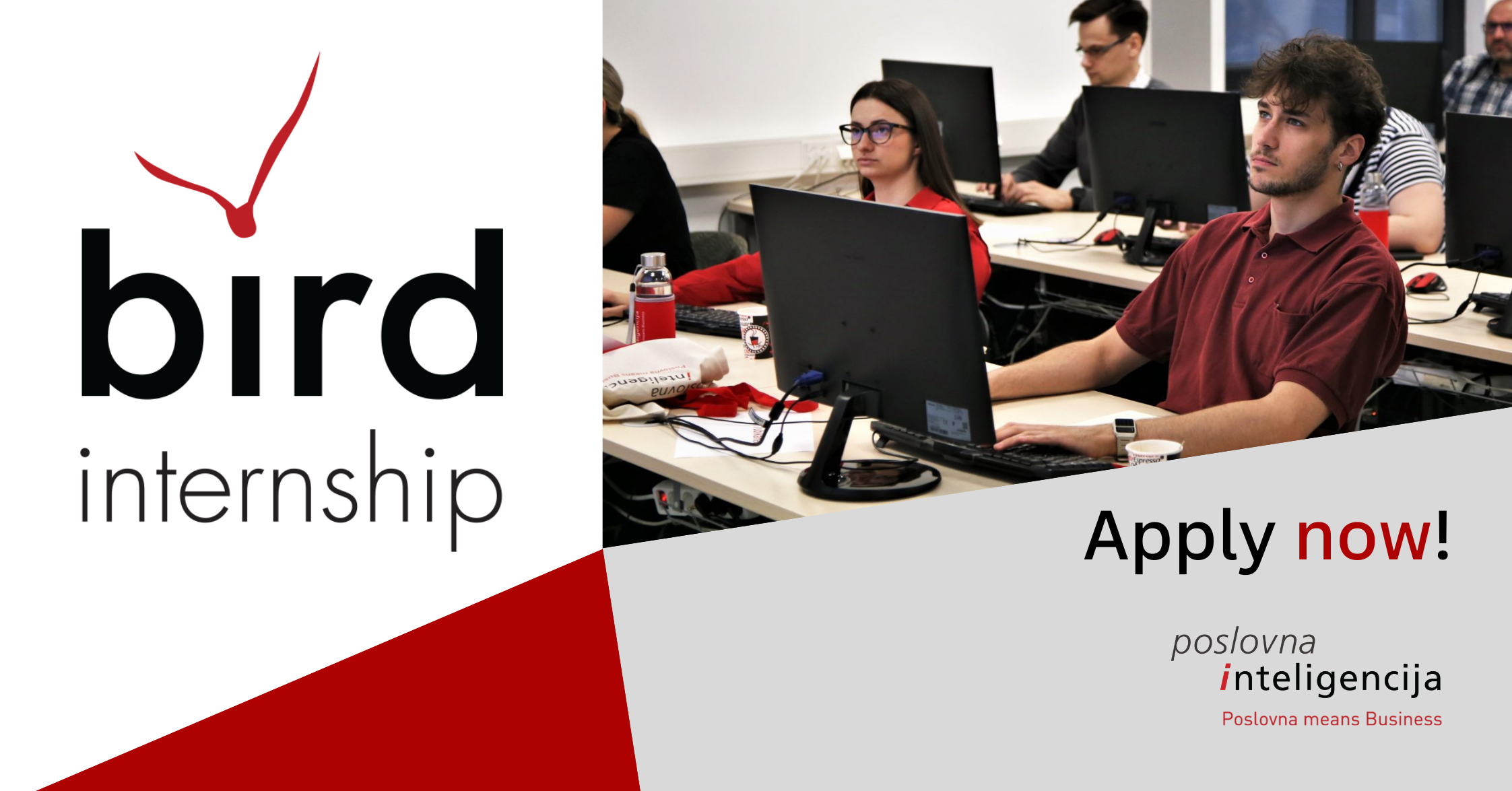 BIRD Academy Internship Poslovna inteligencija